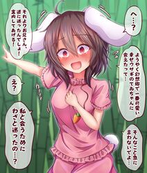  1girl ahoge animal_ears bamboo bamboo_forest bangs blush breasts carrot_necklace commentary_request cowboy_shot floppy_ears forest frilled_sleeves frills hair_between_eyes highres inaba_tewi jewelry looking_at_viewer nature necklace open_mouth pink_shirt pink_skirt pointing pointing_to_the_side rabbit_ears rabbit_girl rabbit_tail red_eyes shirt short_hair siw0n skirt skirt_set small_breasts smile solo tail touhou translation_request wavy_hair 