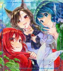  3girls adversarial_noise alto2019 animal_ears black_shirt blue_bow blue_eyes blue_hair bow brooch brown_hair cape closed_mouth commentary_request day drill_hair drill_sidelocks fingernails fins frilled_sleeves frills grass_root_youkai_network green_kimono hair_bow head_fins highres imaizumi_kagerou japanese_clothes jewelry kimono long_fingernails long_sleeves looking_at_viewer marker_(medium) merfolk mermaid monster_girl multiple_girls open_mouth outdoors own_hands_together qr_code red_cape red_eyes red_hair red_nails sekibanki shirt sidelocks smile steepled_fingers sun touhou traditional_media wakasagihime watermark wide_sleeves wolf_ears wolf_girl 