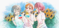  3girls absurdres ahoge aoiao aqours_2nd_years blush brown_hair closed_eyes colored_tongue commentary eating flower food from_side grey_hair highres looking_at_another looking_at_viewer love_live! love_live!_sunshine!! multiple_girls orange_hair outdoors ponytail red_eyes red_hair sakurauchi_riko see-through_clothes see-through_shirt shaved_ice shirt short_hair short_ponytail short_sleeves short_twintails sky smile sunflower t-shirt takami_chika teeth tongue tongue_out twintails watanabe_you 