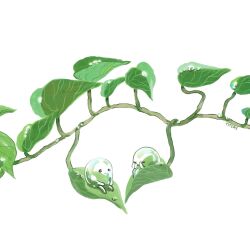  2others closed_eyes closed_mouth commentary covering_own_eyes creature dew_drop dot_mouth english_commentary green_leaf highres ivy leaf liquid liquid_body multiple_others nature no_humans on_leaf original painterly plant procreate_(medium) sad simple_background sitting titsay vines water water_drop white_background 