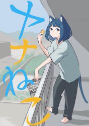  1girl :3 ahoge animal_ears barefoot black_pants blue_eyes blue_hair cat_ears cat_girl cat_tail chips_(food) commentary cosplay food full_body grey_shirt haachan_kun highres kemonomimi_mode make_heroine_ga_oo_sugiru! medium_hair pants parody potato_chips railing satou_yaniko satou_yaniko_(cosplay) shirt solo tail untranslatable_commentary yanami_anna yani_neko 