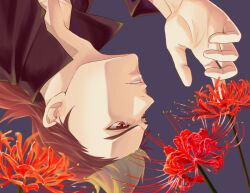  1boy ao_no_kiseki black_hair black_shirt blonde_hair brown_eyes eiyuu_densetsu flower flower_request from_side isa_(peien516) male_focus multicolored_hair parted_lips red_flower shirt simple_background solo t-shirt teeth two-tone_hair upside-down wald_valles 