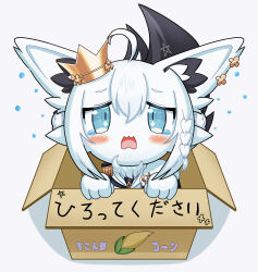  1girl :3 ahoge animal_ears aqua_eyes box braid cardboard_box chibi commentary_request crown crying crying_with_eyes_open epaulettes fang fox_ears fox_girl fox_tail from_above furry furry_female highres hololive in_box in_container looking_at_viewer neck_fur open_mouth pleading_eyes shirakami_fubuki shirakami_fubuki_(fox) side_cape simple_background single_braided_sidelock single_epaulette solo starman_2230 tail tears translation_request virtual_youtuber white_background white_fur white_hair 