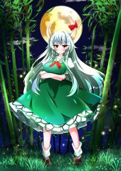  1girl absurdres anime_coloring arms_under_breasts bamboo bamboo_forest bobby_socks bow clouds combat2000_(kuroneko) commentary_request crossed_arms dress ex-keine forest full_body full_moon green_dress green_hair highres horn_bow horn_ornament horns kamishirasawa_keine light_particles long_hair moon nature neckerchief night outdoors red_eyes red_neckerchief single_horn socks solo standing touhou very_long_hair white_socks 
