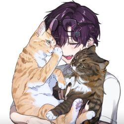  1boy :d animal black_nails cat cloud_hair_ornament curtained_hair eyewear_on_head facing_ahead glasses gudoggye1292270 hair_between_eyes hair_ornament highres holding holding_animal holding_cat laughing male_focus mole mole_under_eye multicolored_hair open_mouth oto_rainy parted_bangs portrait purple_hair shirt short_hair short_sleeves simple_background skoshism smile solo streaked_hair tabby_cat teeth torbie_cat upper_teeth_only utaite very_short_hair virtual_youtuber white_shirt yellow_cat 
