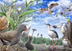 animal animal_focus bird blue_sky bug clouds cloudy_sky commentary_request crab day dragonfly fence fish flock highres ikimonoyasan nature no_humans original osprey outdoors plant predation simple_bird sky worm 