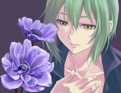  1boy bishounen black_shirt closed_mouth collarbone commentary_request dress_shirt eiyuu_densetsu eyelashes flower flower_request green_hair hair_between_eyes isa_(peien516) male_focus open_clothes open_shirt purple_flower shirt short_hair sidelocks simple_background solo tears wazy_hemisphere zero_no_kiseki 