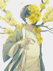  1boy absurdres ayao4948 black_hair branch closed_mouth coat cowboy_shot durumagi e.g.o_(project_moon) expressionless falling_petals flower flower_over_eye grey_coat hanbok hand_up highres korean_clothes limbus_company long_sleeves looking_at_viewer male_focus one_eye_covered petals plant_wings project_moon short_hair simple_background solo spicebush_(e.g.o) technology_liberation_alliance_(identity)_(project_moon) white_background white_hanbok wide_sleeves wings yellow_eyes yellow_leaves yi_sang_(project_moon) 