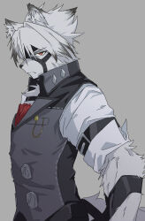  1boy 1girl animal_ears body_fur closed_mouth collared_vest from_side furry furry_male grey_background grey_vest highres looking_at_viewer male_focus multicolored_hair red_eyes shirt short_hair simple_background solo sugidoritos tail tail_belt vest von_lycaon white_fur white_hair wolf_boy wolf_ears wolf_tail zenless_zone_zero 