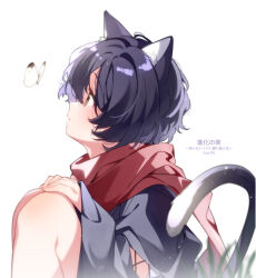  1girl animal_ears black_hair brown_hair bug butterfly cat_ears cat_girl cat_tail commentary_request from_side hands_on_own_knees highres knees_up long_sleeves looking_ahead looking_at_animal origa_calmeria red_scarf scarf shinka_no_mi simple_background solo tail translation_request u35 white_background 