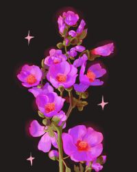  brown_background commentary english_commentary flower flower_focus flower_request highres jpeg_artifacts no_humans original purple_flower rokktober simple_background still_life 