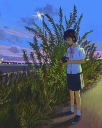  1girl black_hair black_skirt camera clouds collared_shirt commentary full_body grass highres holding holding_camera neck_ribbon original outdoors plant pleated_skirt realyangtuo red_ribbon ribbon school_uniform shirt shoes short_hair short_sleeves skirt sky slice_of_life socks solo standing white_shirt white_socks 