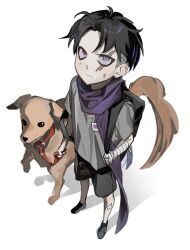  1boy aged_down animal backpack bag bandaged_arm bandaged_hand bandages bandaid bandaid_on_knee bandaid_on_leg black_bag black_hair black_shoes black_shorts child closed_eyes commentary_request danganronpa_(series) danganronpa_2:_goodbye_despair dirty dirty_face dog expressionless from_above full_body grey_eyes grey_shirt heterochromia holding holding_bag holding_leash korean_commentary leash light_frown looking_at_viewer male_focus no_socks purple_scarf red_eyes saman_zero7 scar scar_across_eye scar_on_face scarf shadow shirt shoes short_hair short_sleeves shorts sideburns simple_background sneakers solo t-shirt tanaka_gundham white_background 