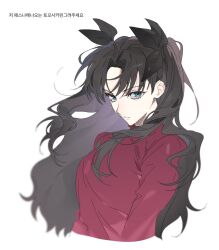  1girl blue_eyes brown_hair commentary_request cropped_torso fate/stay_night fate_(series) hair_ribbon hh123145 highres korean_commentary korean_text long_hair looking_at_viewer ribbon shirt simple_background solo tohsaka_rin translation_request turtleneck two_side_up white_background 