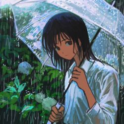  1girl black_eyes black_hair closed_mouth collared_shirt commentary_request dot_nose flower foliage highres holding holding_umbrella hydrangea leaf long_hair looking_at_viewer original outdoors plant rain realyangtuo shirt slice_of_life umbrella upper_body water_drop wet wet_clothes wet_shirt white_shirt 