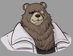  1boy animal_ears bear_boy bear_ears ben_bigger black_tank_top brown_fur dynogreeno english_commentary furry furry_male grey_background highres jacket looking_at_viewer male_focus scar scar_across_eye scar_on_face smile tank_top upper_body white_jacket zenless_zone_zero 