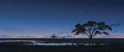  absurdres blue_sky clouds gracile gradient_sky grasslands highres horizon lake landscape nature no_humans original outdoors scenery sky tree twilight 