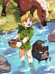  1boy absurdres animalization blonde_hair blue_eyes bowl commentary_request curtained_hair epona fish ganondorf green_hat green_tunic hat highres holding holding_bowl horse link male_focus open_mouth pointy_ears rani_grb ripples river rock short_hair the_legend_of_zelda the_legend_of_zelda:_ocarina_of_time tunic wading young_link 