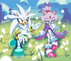  1boy 1girl :d absurdres animal_ears blaze_the_cat blue_shoes blue_sky cat_ears cat_girl cat_tail closed_eyes closed_mouth commentary english_commentary eyelashes flower forehead_jewel full_body furry furry_female furry_male gloves grass hedgehog_boy highres jacket long_sleeves maxart1537 on_ground open_mouth pants pink_shoes purple_fur purple_jacket shoes silver_the_hedgehog sky smile sonic_(series) tail twitter_username white_fur white_gloves white_pants yellow_eyes 