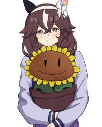 1girl absurdres animal_ears blush bow bowtie braid braided_sidelocks brown_hair closed_mouth commentary_request curren_bouquetd'or_(umamusume) ear_covers flower flower_pot flower_with_face grey_eyes hair_between_eyes hair_ornament hairband highres holding holding_flower_pot horse_ears horse_girl long_hair long_sleeves looking_at_viewer low_twin_braids mismatched_ear_covers morinoritoriori multicolored_hair open_mouth plant plants_vs._zombies purple_serafuku purple_shirt purple_skirt sailor_collar sailor_shirt school_uniform sentient_plant serafuku shirt sidelocks simple_background skirt smile streaked_hair sunflower sunflower_(plants_vs._zombies) textless_version tracen_school_uniform twin_braids umamusume very_long_braid white_bow white_bowtie white_hairband white_streaks winter_uniform 