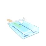  artist_name bear chai_(drawingchisanne) food food_focus no_humans original pool popsicle ripples simple_background water white_background 