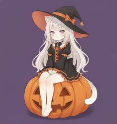  1girl animal_ear_fluff animal_ears barefoot black_dress cat_ears cat_girl cat_tail dress frilled_dress frills grey_hair halloween hat jack-o'-lantern long_hair long_sleeves looking_at_viewer original purple_background short_dress simple_background sitting sitting_on_object smile tail v_arms violet_eyes witch witch_hat yuhan_ovo 