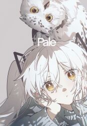  1girl :t absurdres animal_on_head bird bird_on_head brown_eyes closed_mouth commentary_request english_text grey_background grey_sweater hair_between_eyes hair_ornament hands_on_own_face hatsune_miku head_tilt highres konya_karasue long_hair looking_at_viewer on_head owl simple_background solo sweater vocaloid white_hair 