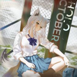  1girl absurdres animal_ear_fluff animal_ears black_socks blue_skirt blurry blurry_edges blush bow bowtie brown_eyes chain-link_fence closed_mouth commentary copyright_name english_commentary fence foot_out_of_frame fox_girl grey_hair hand_on_own_knee highres hololive iputpixels leg_up long_hair looking_at_viewer miniskirt no_shoes pleated_skirt purple_bow purple_bowtie school_uniform shirakami_fubuki shirt shirt_tucked_in sitting skirt smile socks solo straight_hair tail three-quarter_sleeves virtual_youtuber white_shirt 