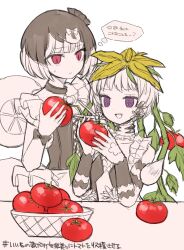 2girls black_hair butter_run commentary_request fang flower fukuroi_marika highres holding japanese_text leaf magical_girl mahou_shoujo_ikusei_keikaku mahou_shoujo_ikusei_keikaku_jokers multicolored_hair multiple_girls open_mouth plant red_eyes short_hair styler_mimi tomato translation_request two-tone_hair vines violet_eyes white_flower white_hair