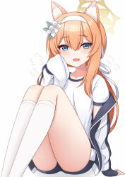 1girl animal_ear_fluff animal_ears blue_archive blue_eyes blue_jacket blue_shorts cat_ears cat_girl commentary_request double-parted_bangs flower hair_between_eyes hair_flower hair_ornament hair_ribbon halo highres holding holding_towel jacket mari_(blue_archive) mari_(track)_(blue_archive) open_clothes open_jacket open_mouth orange_hair ponytail ribbon shirt short_shorts shorts simple_background sitting socks solo t-shirt towel white_background white_flower white_ribbon white_shirt white_socks yellow_halo yoiyami_mutsuki 