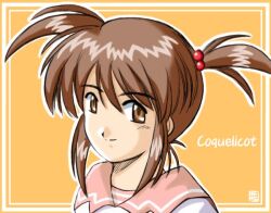  1990s_(style) 1girl bad_id brown_eyes brown_hair character_name closed_mouth commentary_request coquelicot_(sakura_taisen) hair_bobbles hair_ornament hana_(hana_mo_arashi_mo) looking_at_viewer orange_background pink_sailor_collar portrait retro_artstyle sailor_collar sakura_taisen sakura_taisen_iii short_hair short_twintails smile solo twintails upper_body 