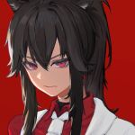  1girl alternate_costume animal_ear_fluff animal_ears arknights black_hair closed_mouth collared_shirt long_hair looking_at_viewer lp947131491 necktie ponytail profile red_background red_eyes red_shirt shirt sidelocks simple_background solo texas_(arknights) white_necktie wolf_ears 