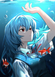  1girl absurdres ayanami_rei blue_hair closed_mouth collared_shirt commentary expressionless fish hair_between_eyes highres kulthss neck_ribbon neon_genesis_evangelion red_eyes red_ribbon ribbon school_uniform shirt short_hair short_sleeves solo submerged tokyo-3_middle_school_uniform white_shirt 