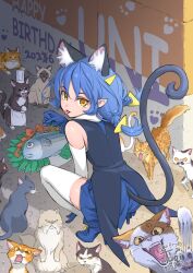  1girl anger_vein angry animal_ears apron back blue_hair blue_skirt boots braid cat cat_ears cat_girl cat_tail chef_hat coattails commentary_request dated fish from_above from_behind gloves hair_ornament happy_birthday hat high_heel_boots high_heels highres looking_at_viewer looking_back outdoors paw_print plate precure puffing_up revision skirt squatting star_twinkle_precure tail tail_raised tailcoat thigh-highs too_many too_many_cats triangle_hair_ornament tuqi_pix turning_head twin_braids urban white_apron yellow_eyes yuni_(precure) zettai_ryouiki 