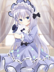  1girl :t absurdres angora_rabbit animal black_bow blue_bonnet blue_dress blue_eyes blue_hairb bonnet bow cheek_press commentary curtains dress flower frilled_bonnet frills gochuumon_wa_usagi_desu_ka? hair_bow hair_ornament hat hat_ribbon highres holding holding_animal holding_rabbit huhuhuhu35 indoors kafuu_chino long_hair looking_at_viewer mini_hat mini_top_hat rabbit ribbon see-through_curtains tippy_(gochiusa) top_hat x_hair_ornament 