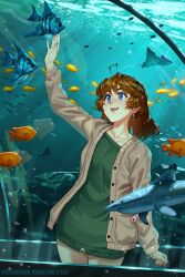 1girl :d ahoge air_bubble aquarium_tunnel arm_at_side arm_up brooke_(mleth) brown_cardigan brown_hair bubble cardigan commentary cowboy_shot dress earrings english_commentary freckles green_sweater jewelry light_rays looking_at_animal manta_ray medium_hair mleth open_cardigan open_clothes open_mouth original patreon_username school_of_fish smile solo species_request standing sweater sweater_dress 