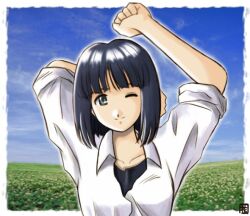  1990s_(style) 1girl arms_up bad_id black_hair blue_sky border closed_mouth clouds collared_shirt commentary_request day field grey_eyes hana_(hana_mo_arashi_mo) kitaooji_hanabi looking_at_viewer one_eye_closed outdoors outside_border retro_artstyle sakura_taisen sakura_taisen_iii shirt short_hair sky sleeves_rolled_up smile solo upper_body white_border white_shirt wings 