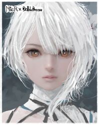  1girl bandaged_neck bandaged_shoulder bandages border brown_eyes closed_mouth commentary_request copyright_name d.k dolfie_dream flower grey_background hair_between_eyes hair_flower hair_ornament kaine_(nier) looking_at_viewer nier_(series) official_art parted_bangs portrait single_bare_shoulder single_sidelock solo upper_body white_border white_flower white_hair 