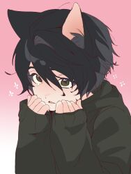  1boy absurdres animal_ear_fluff animal_ears black_hair cat_boy cat_ears curled_fingers degrees_of_lewdity dot_nose double-parted_bangs dripping_eye green_eyes green_hoodie hair_between_eyes hands_on_own_face hands_up highres hood hood_down hoodie hxmc kemonomimi_mode kylar_(degrees_of_lewdity) kylar_(male)_(degrees_of_lewdity) looking_at_viewer male_focus parted_lips pink_background short_hair simple_background single_hair_intake sleeves_past_wrists solo 
