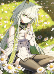  1girl animal_ears arknights arm_behind_back bare_shoulders black_shorts breasts buttons cat_ears cat_girl commentary_request day double-breasted flower grass green_eyes green_hair hand_on_own_chest hand_up holding holding_flower kal'tsit_(arknights) kal'tsit_esperanta_(arknights) long_hair medium_breasts on_ground outdoors shironekoban short_shorts shorts sitting smile thigh-highs very_long_hair white_flower 