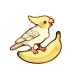  animal animal_focus banana bird chibi cockatiel commentary english_commentary feathers food fruit green_eyes heart no_humans on_food original parrot simple_background spicymochi watermark white_background yellow_feathers 
