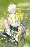  1boy absurdres bangs blue_shorts closed_eyes daisy flower grass highres hunter_x_hunter killua_zoldyck long_sleeves male_focus outdoors parted_lips shorts sitting sleeping sleeping_upright socks solo spiky_hair sweater tulip white_flower white_footwear white_hair white_socks white_sweater yellow_flower yuhuan 