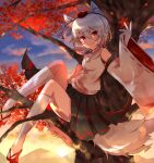  1girl animal_ears bangs bare_shoulders black_skirt closed_mouth clouds cloudy_sky detached_sleeves flip-flops full_body highres in_tree inubashiri_momiji leaf lll_iv_v maple_leaf pom_pom_(clothes) red_eyes sandals shirt short_hair sitting sitting_in_tree skirt sky smile socks solo sun sunset tail touhou tree white_hair white_shirt white_sleeves white_socks wolf_ears wolf_girl wolf_tail 