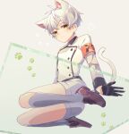  1boy animal_ears arknights aruke0 bishounen black_gloves blush cat_boy cat_ears cat_tail full_body glass gloves green_eyes looking_at_viewer male_focus mephisto_(arknights) paw_print shoes shorts sitting socks solo tail thighs 