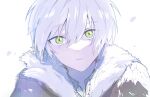  1boy bangs byoc12 fumetsu_no_anata_e fur_trim fushi green_eyes grey_hair hair_between_eyes highres light_smile looking_at_viewer male_focus parted_lips portrait short_hair simple_background solo white_background wind 