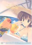  bikini bird breasts cleavage cut_a_dash!! drink hat highres mitsumi_misato parrot straw_hat swimsuit umbrella 