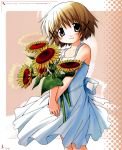  aoki_ume dress flower hidamari_sketch highres official_art scan sunflower yuno 