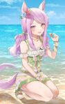  1girl absurdres alternate_costume animal_ears beach breasts collarbone commentary_request highres horse_ears horse_tail long_hair mejiro_mcqueen_(umamusume) nobell_(bell_no5) ocean open_mouth purple_hair sandals simple_background sitting sky small_breasts solo tail umamusume violet_eyes 