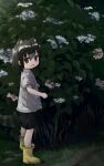  1girl :d alternate_costume animal_ear_fluff animal_ears bangs black_eyes black_hair boots commentary common_raccoon_(kemono_friends) extra_ears fang flower full_body grass hair_between_eyes highres hydrangea kemono_friends looking_at_viewer nanana_(nanana_iz) open_mouth outdoors raccoon_ears raccoon_girl raccoon_tail rubber_boots shirt short_hair short_sleeves skin_fang smile solo tail white_shirt yellow_footwear younger 