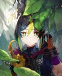  1boy animal_ear_fluff animal_ears ari_(bleum) artist_name bangs black_gloves black_hair black_shirt blunt_ends blurry blurry_foreground branch bright_pupils brown_eyes brown_gloves closed_mouth commentary_request depth_of_field drawstring earrings flower forest fox_ears genshin_impact gloves green_eyes green_hair hair_between_eyes hand_up highres hood hood_down hoodie jewelry leaf light_particles looking_at_viewer male_focus medal mixed-language_commentary multicolored_clothes multicolored_eyes multicolored_hair nature outdoors shirt short_hair short_sleeves sidelocks single_glove solo tassel tighnari_(genshin_impact) turtleneck twitter_username two-tone_gloves two-tone_hair upper_body white_pupils yellow_flower 